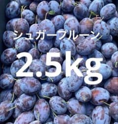 青森県産　シュガープルーン　約2.5kg　　全国送料無料のサムネイル