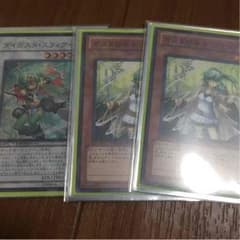 ガスタ スフィアード ウィンダ 2枚のサムネイル