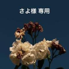 さよ様専用のサムネイル