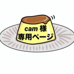 激レア 応援グッズフルセット ダイエーホークスファンクラブ限定 骨董