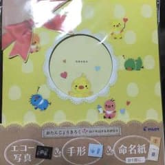 出産 お誕生日記録のサムネイル