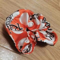 R指定 シュシュのサムネイル