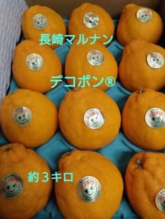 長崎マルナン「デコポン®」約3キロ - メルカリ