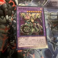 捕食植物ドラゴスタペリアのサムネイル