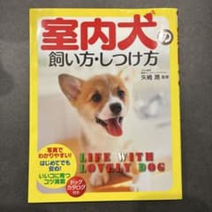 室内犬飼い方しつけ方のサムネイル