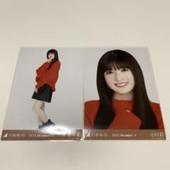 乃木坂46 アニマルルームウェア小川彩セミコンプ 乃木坂46〈小川彩〉【アニマルルームウェア】3種 コンプ _ 12th YEAR