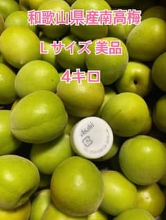和歌山県産 南高梅 L〜２Ｌサイズ 美品4kgのサムネイル