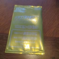 ポケモンカード ドラゴンポケモンV ゲットチャレンジ プロモカード