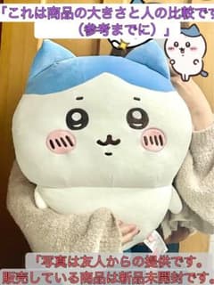 ハチワレぬいぐるみLサイズ中国限定miniso ハチワレちいかわ