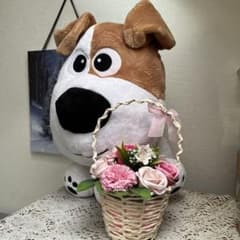 petsぬいぐるみのサムネイル