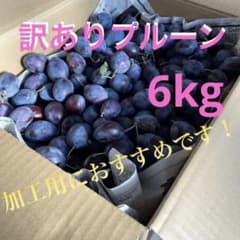 訳あり、シュガープルーン　6kgのサムネイル