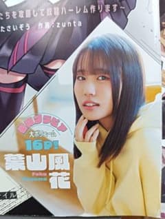 葉山風花 ドラゴンエイジ 2025年4月号 グラビア 切り抜き16P - メルカリ