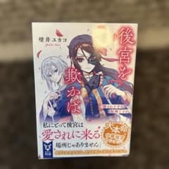 後宮を欺かば 愛され下手な奴婢ですが　壁井ユカコのサムネイル