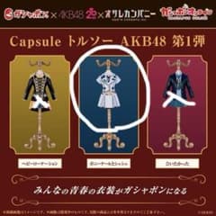 AKB48 ガチャ　ポニーテールとシュシュのサムネイル