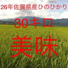 送料なし12000円→込み8400円 26年産 ひのひかりのサムネイル