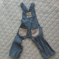 サロペットのサムネイル