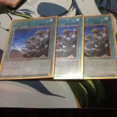 遊戯王 同胞の絆 3枚のサムネイル