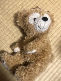 ダッフィー　物入れ　ぬいぐるみのサムネイル