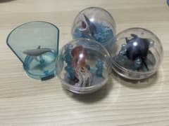 カプリウムコレクション　海洋生物セットのサムネイル