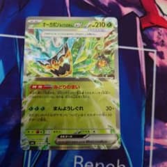 オーガポンex　みどりのめんのサムネイル