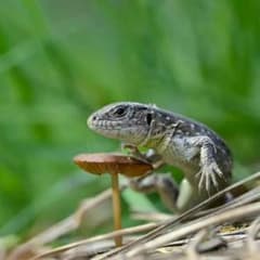 K.Kさん専用のサムネイル