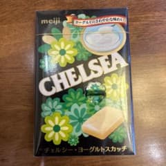チェルシーのサムネイル