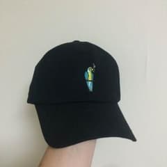 【ASURA様専用】カーブキャップのサムネイル