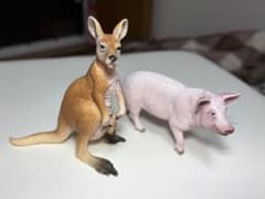Schleich シュライヒ カンガルー 親子 ブタ フィギュア 2体セットのサムネイル
