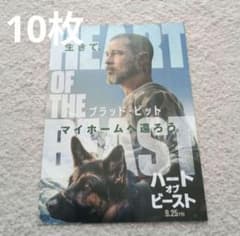 ブラッドピット 出演 映画チラシ フライヤー 大量39枚セット 映画 ハート・オブ・ビースト チラシ フライヤー - メルカリ