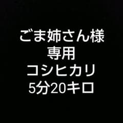 ごま姉さん様専用のサムネイル