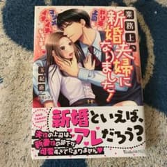業務上、新婚夫婦になりました! ～やり手の上司とマジメにイチャイチャしています～のサムネイル