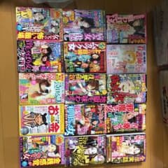 レディースコミック15冊のサムネイル