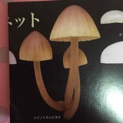 光るキノコのマグネットのサムネイル