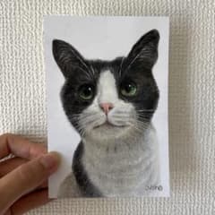 ハチワレ猫の色鉛筆画 原画 ポストカードサイズ - メルカリ