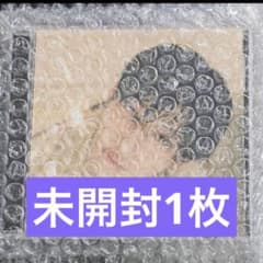 【新品未開封】straykids スキズ Hollow FC盤 バンチャン 1枚のサムネイル