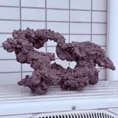人工ライブロック　アク抜き済みのサムネイル