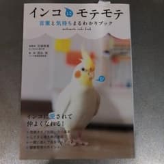 インコにモテモテ : 言葉と気持ちまるわかりブックのサムネイル