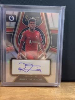 m39152242511_1.jpg?1717172108