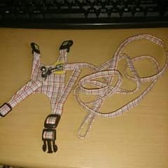 【うえ様専用】フェレットのリードセットのサムネイル