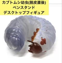딱정벌레 유충 (탈피 직후) 펜 스탠드 데스크탑 피규어 이치 반 복권 곤충