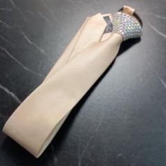 ⭐️社交ダンス⭐️パーティー⭐️ベージュ×オーロラ⭐️