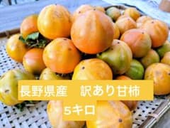 長野県産 訳あり甘柿 5キロのサムネイル