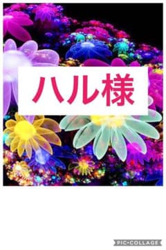 ハルちゃん♡のサムネイル