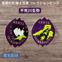 鬼滅の刃 隊士百景 コレクションピンズ 不死川玄弥 9個セット　新品未開封 m39171007487_1.jpg?1762433350