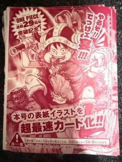 ONE PIECE 連載29周年記念 付録カード2枚のサムネイル