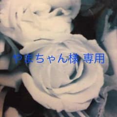 POLO ラルフローレンの二つ折り財布のサムネイル