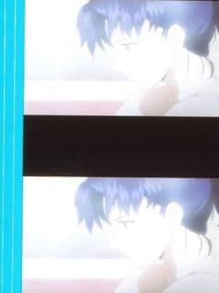 エヴァンゲリオン 35mmフィルム5コマ 庵野秀明 三石琴乃 葛城ミサト 