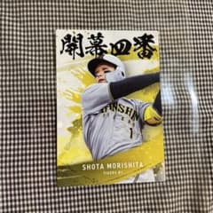 m39197746087_1.jpg?1756987074