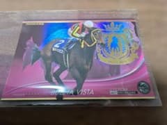 ブエナビスタ OWNER'S HORSE OH02-H078のサムネイル