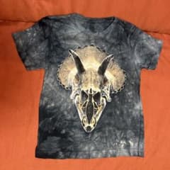 The Mountain 恐竜柄 Tシャツ キッズ Sサイズのサムネイル
